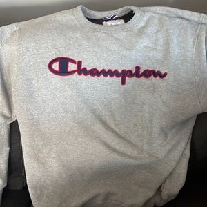 embroidered champion sweater